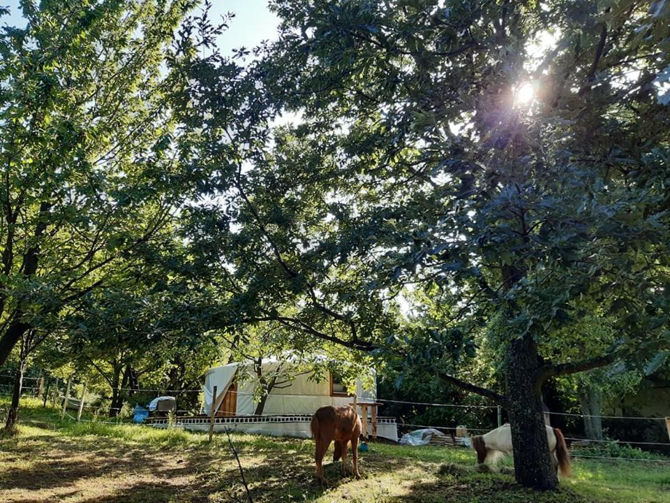 Jurta Az Erdo Mellett Dezsaval-Keresz-Tanya Hotel Pilisszentkereszt Bagian luar foto